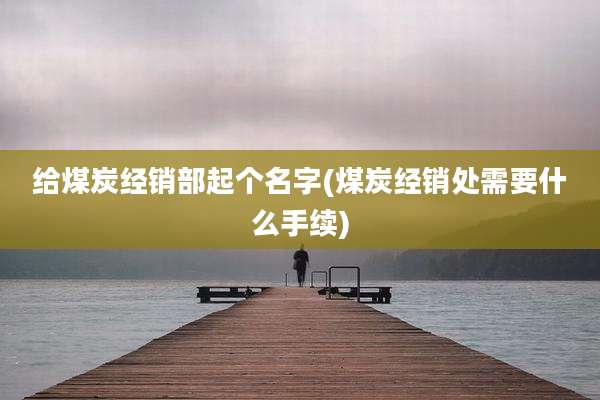 给煤炭经销部起个名字(煤炭经销处需要什么手续)