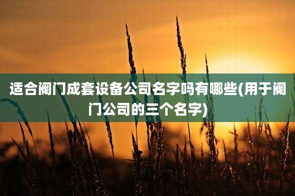 适合阀门成套设备公司名字吗有哪些(用于阀门公司的三个名字)
