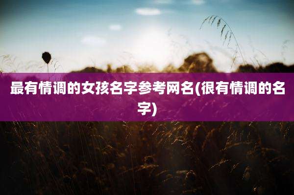 最有情调的女孩名字参考网名(很有情调的名字)