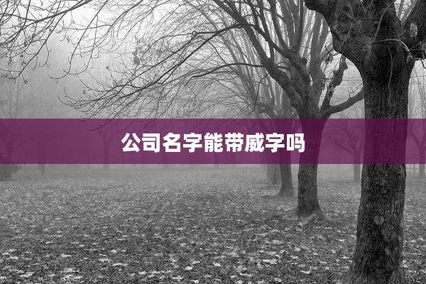 公司名字能带威字吗