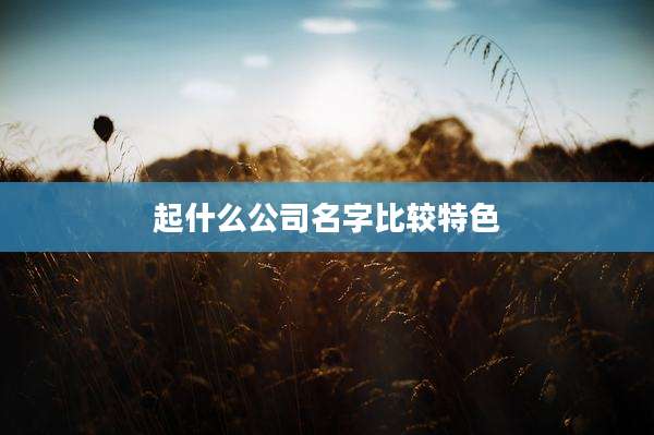 起什么公司名字比较特色