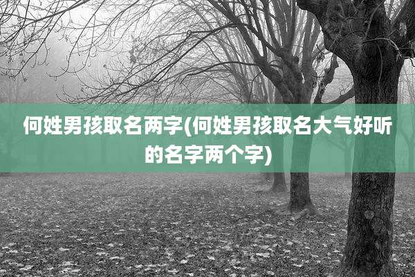 何姓男孩取名两字(何姓男孩取名大气好听的名字两个字)