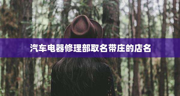 汽车电器修理部取名带庄的店名