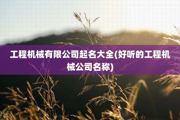 工程机械有限公司起名大全(好听的工程机械公司名称)