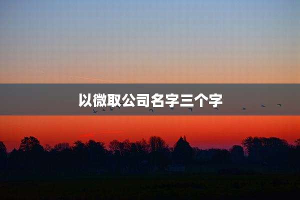 以微取公司名字三个字
