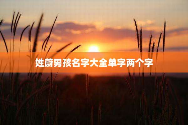 姓蔚男孩名字大全单字两个字