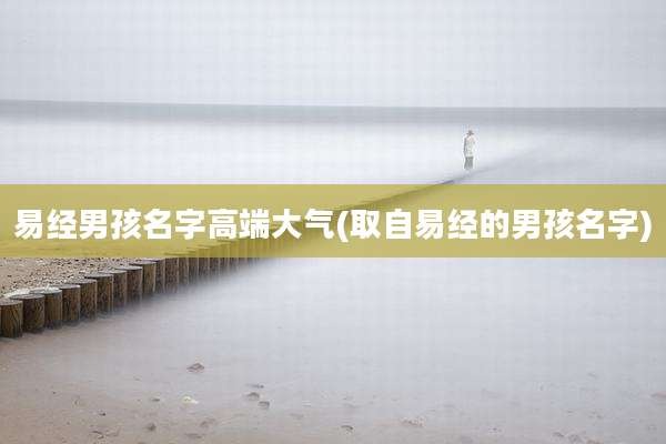 易经男孩名字高端大气(取自易经的男孩名字)