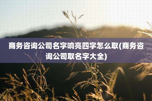 商务咨询公司名字响亮四字怎么取(商务咨询公司取名字大全)