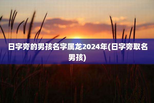 日字旁的男孩名字属龙2024年(日字旁取名男孩)
