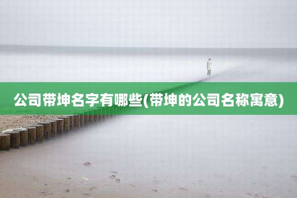 公司带坤名字有哪些(带坤的公司名称寓意)