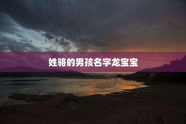 姓骆的男孩名字龙宝宝
