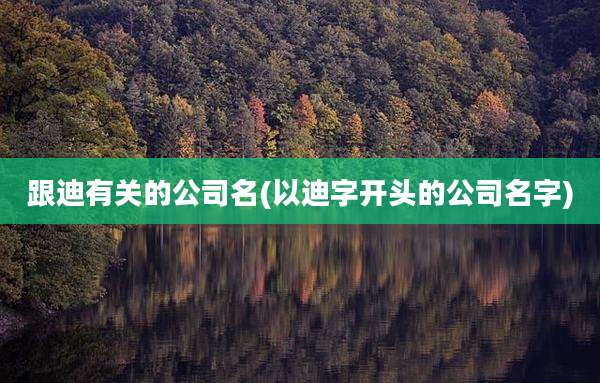跟迪有关的公司名(以迪字开头的公司名字)