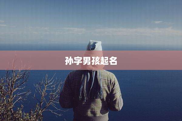 孙字男孩起名