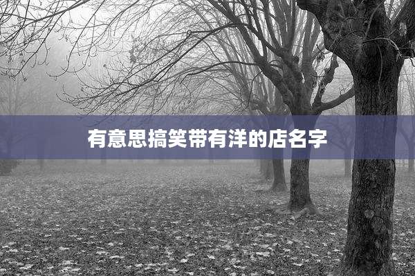有意思搞笑带有洋的店名字