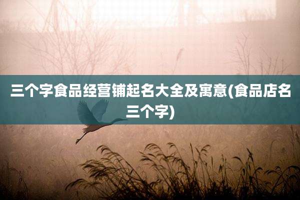 三个字食品经营铺起名大全及寓意(食品店名三个字)