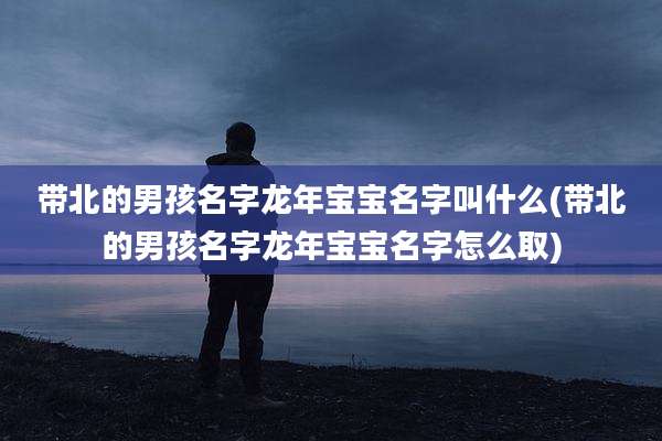 带北的男孩名字龙年宝宝名字叫什么(带北的男孩名字龙年宝宝名字怎么取)