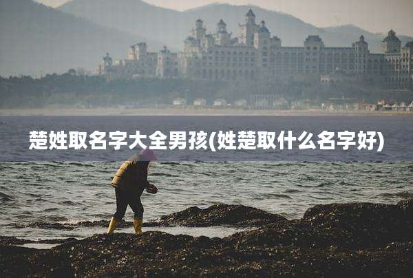 楚姓取名字大全男孩(姓楚取什么名字好)