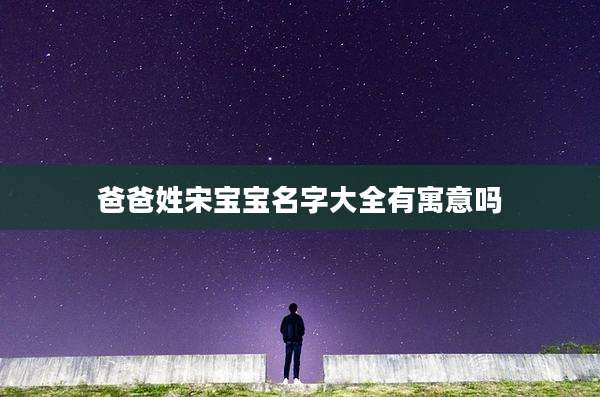 爸爸姓宋宝宝名字大全有寓意吗