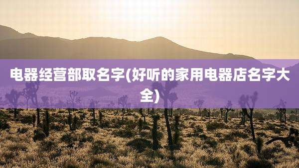 电器经营部取名字(好听的家用电器店名字大全)