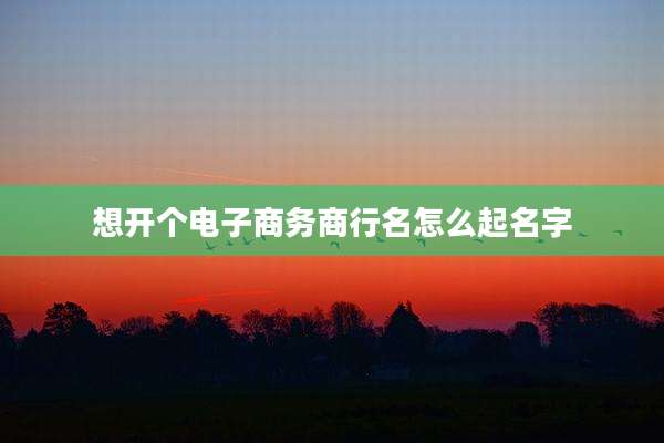 想开个电子商务商行名怎么起名字