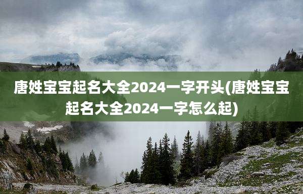 唐姓宝宝起名大全2024一字开头(唐姓宝宝起名大全2024一字怎么起)