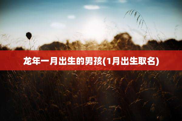 龙年一月出生的男孩(1月出生取名)