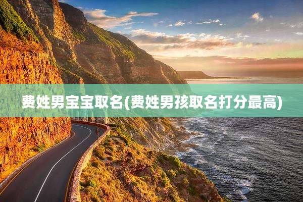费姓男宝宝取名(费姓男孩取名打分最高)