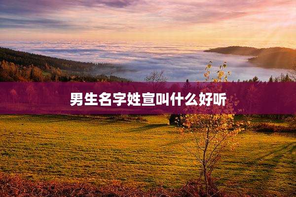 男生名字姓宣叫什么好听