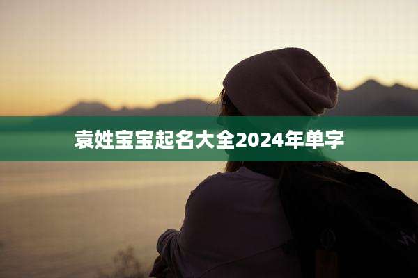 袁姓宝宝起名大全2024年单字