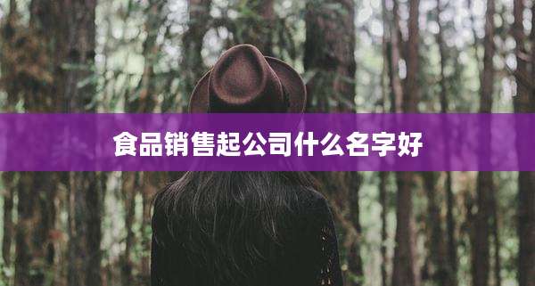 食品销售起公司什么名字好