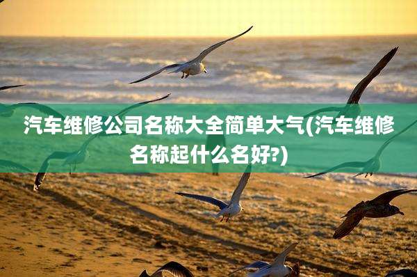 汽车维修公司名称大全简单大气(汽车维修名称起什么名好?)