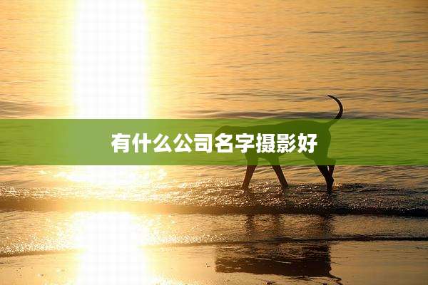 有什么公司名字摄影好