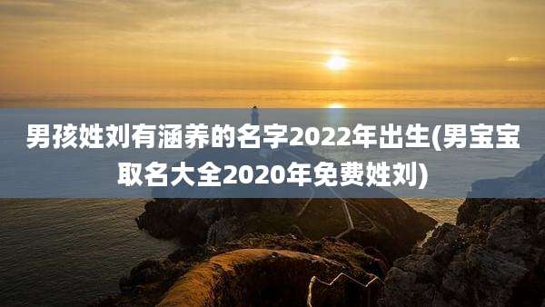 男孩姓刘有涵养的名字2022年出生(男宝宝取名大全2020年免费姓刘)