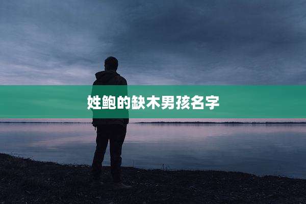 姓鲍的缺木男孩名字