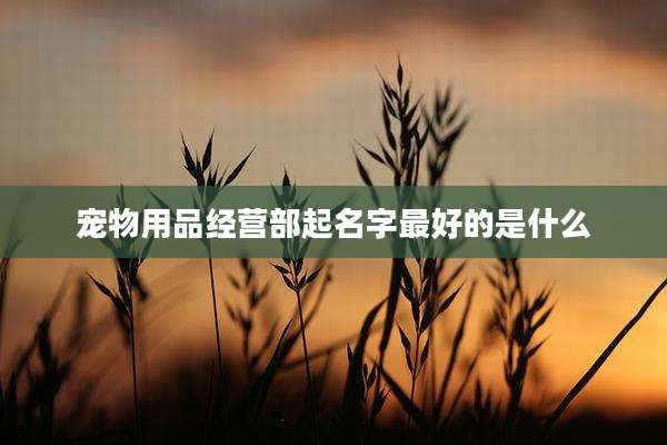 宠物用品经营部起名字最好的是什么