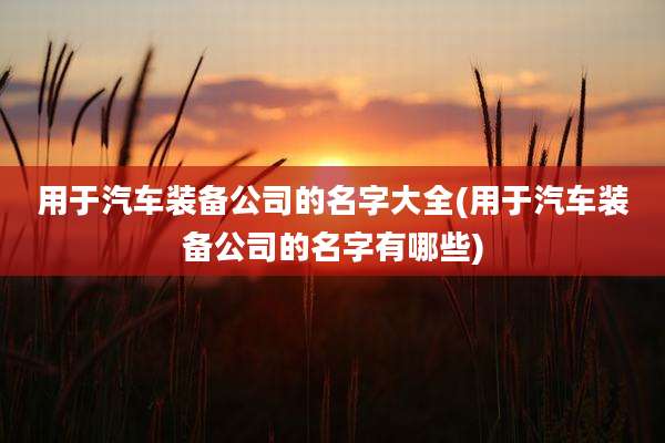 用于汽车装备公司的名字大全(用于汽车装备公司的名字有哪些)