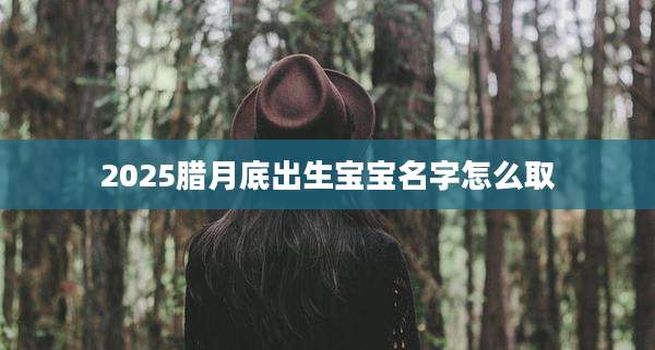 2025腊月底出生宝宝名字怎么取