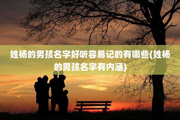 姓杨的男孩名字好听容易记的有哪些(姓杨的男孩名字有内涵)