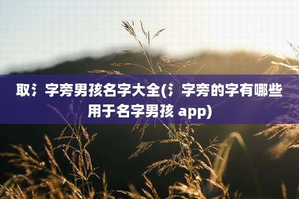 取氵字旁男孩名字大全(氵字旁的字有哪些用于名字男孩 app)