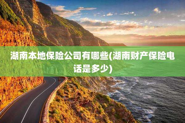 湖南本地保险公司有哪些(湖南财产保险电话是多少)