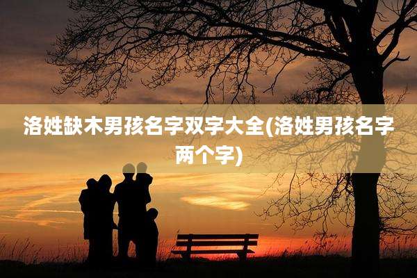 洛姓缺木男孩名字双字大全(洛姓男孩名字两个字)