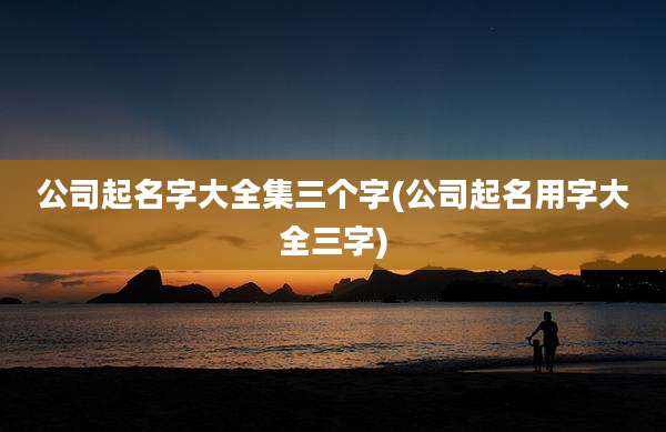 公司起名字大全集三个字(公司起名用字大全三字)