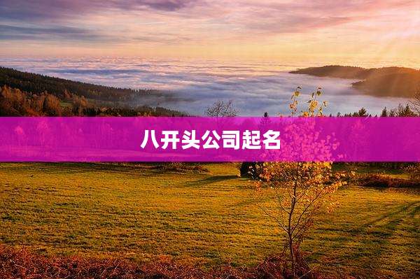 八开头公司起名