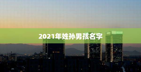 2021年姓孙男孩名字
