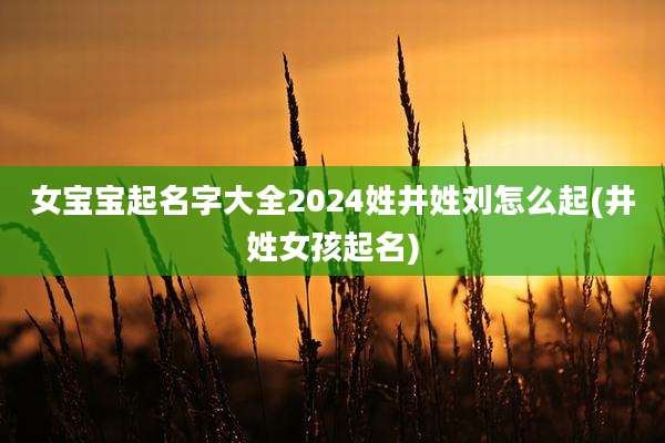 女宝宝起名字大全2024姓井姓刘怎么起(井姓女孩起名)