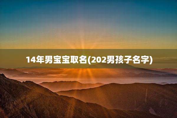 14年男宝宝取名(202男孩子名字)