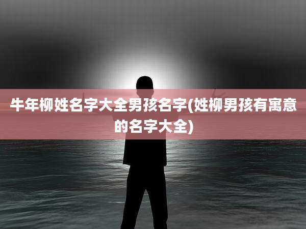 牛年柳姓名字大全男孩名字(姓柳男孩有寓意的名字大全)