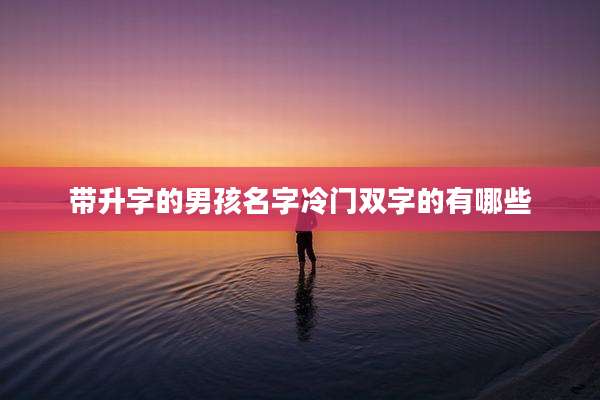 带升字的男孩名字冷门双字的有哪些