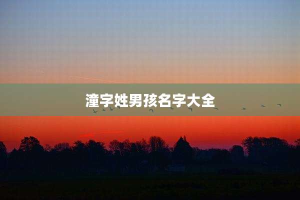 潼字姓男孩名字大全