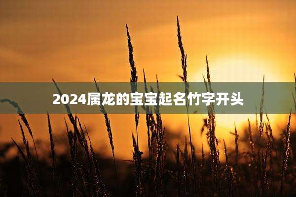 2024属龙的宝宝起名竹字开头
